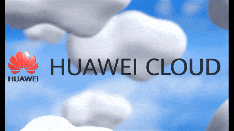 Loop 5 — reemplaza por GIF/MP4 poster